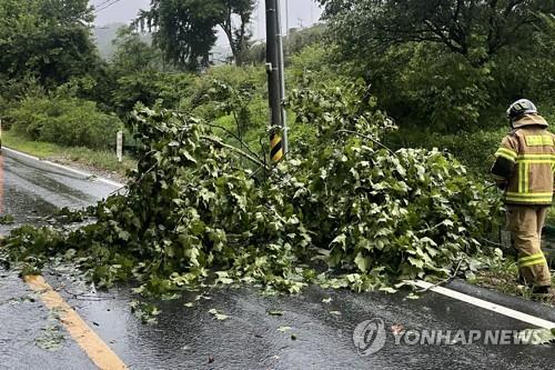 연합뉴스