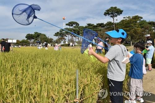 연합뉴스