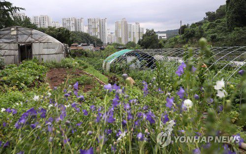 연합뉴스