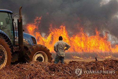 연합뉴스