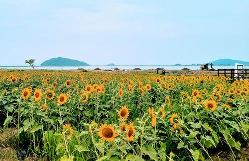 연합뉴스