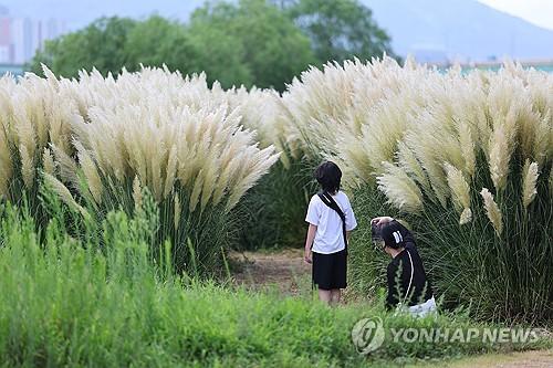 연합뉴스