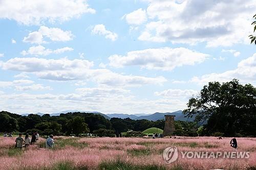 연합뉴스