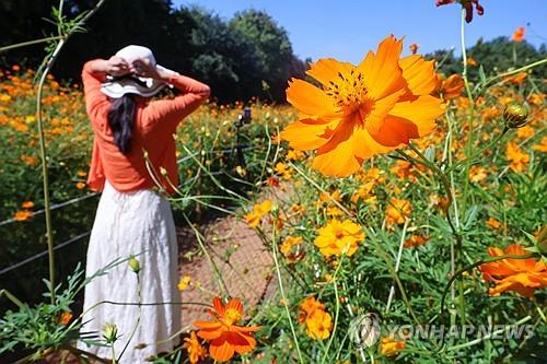 연합뉴스