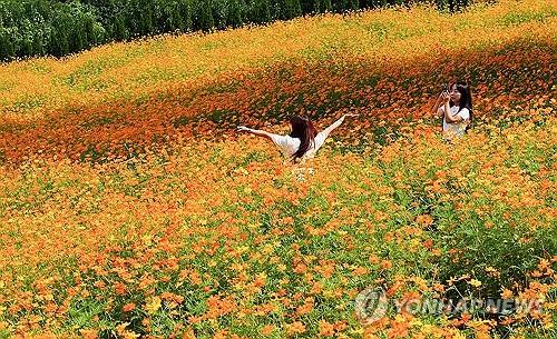 연합뉴스