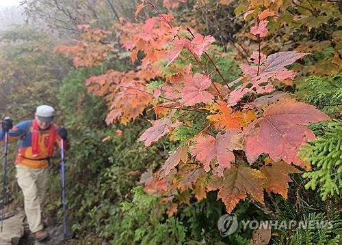 연합뉴스