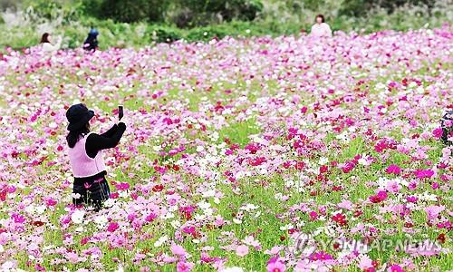 연합뉴스