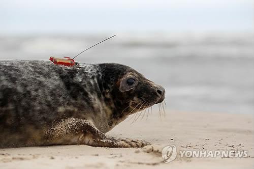 연합뉴스