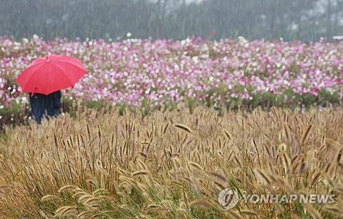 연합뉴스