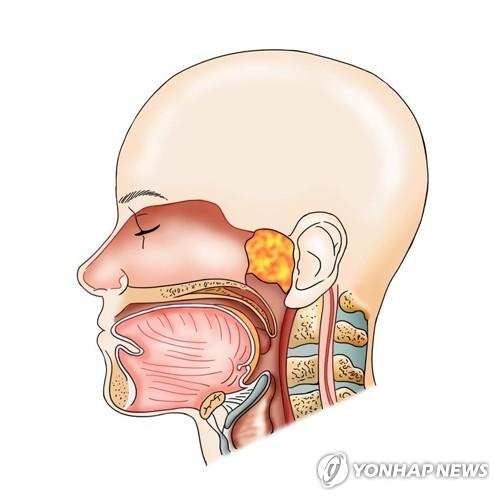 연합뉴스