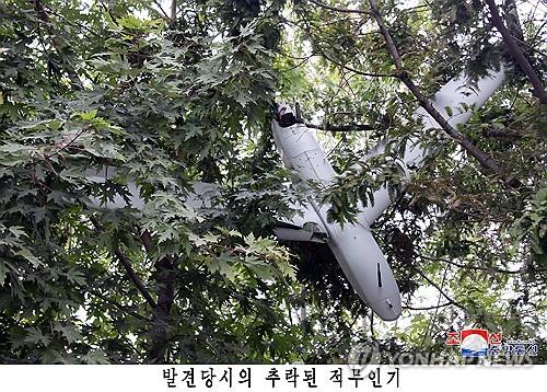 연합뉴스