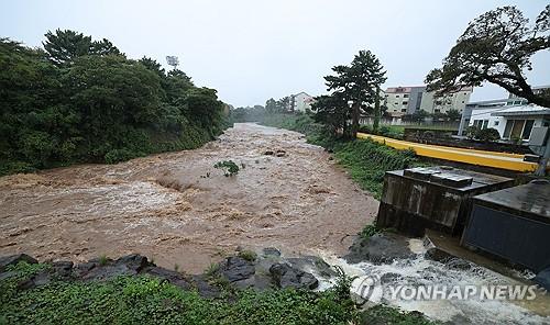 연합뉴스