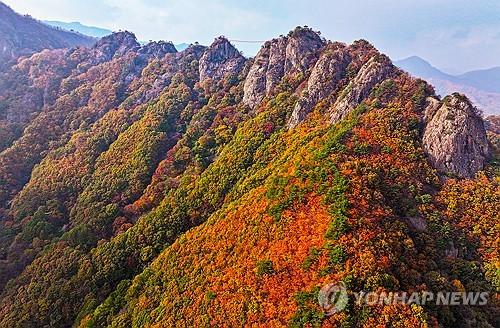 연합뉴스