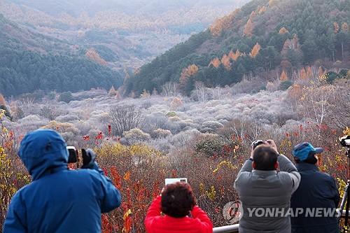 연합뉴스