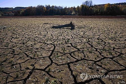 연합뉴스