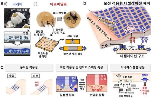 연합뉴스