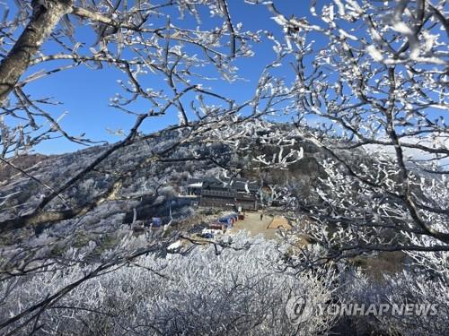 연합뉴스