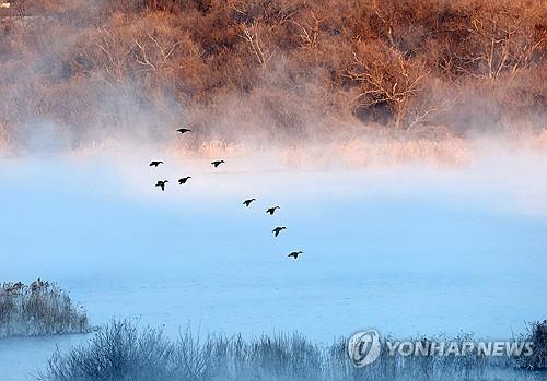 연합뉴스