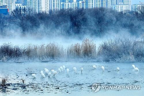 연합뉴스