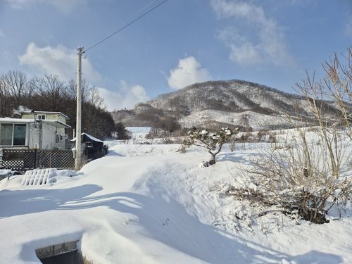 연합뉴스