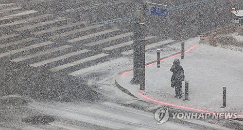 연합뉴스