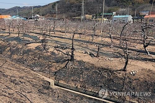 연합뉴스