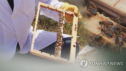 연합뉴스