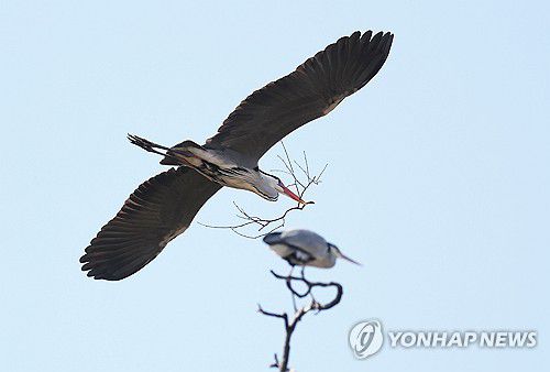 연합뉴스