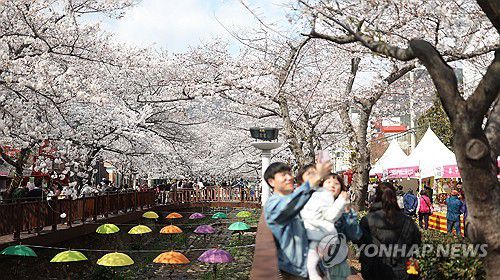연합뉴스