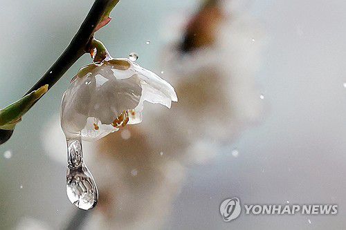 연합뉴스