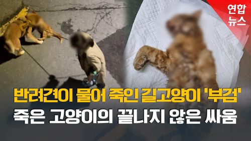 연합뉴스