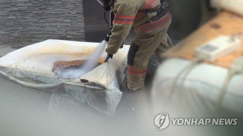 연합뉴스
