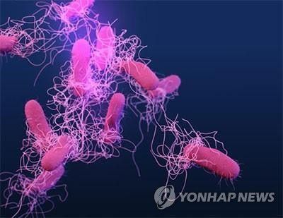 연합뉴스
