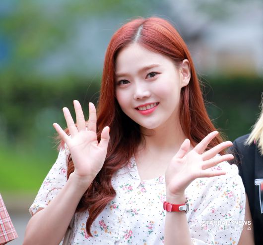 스타데일리뉴스