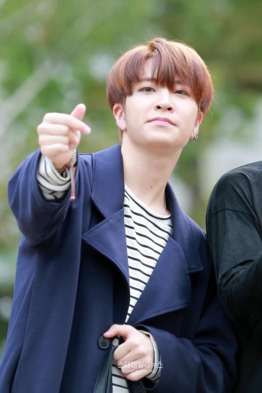 스타데일리뉴스