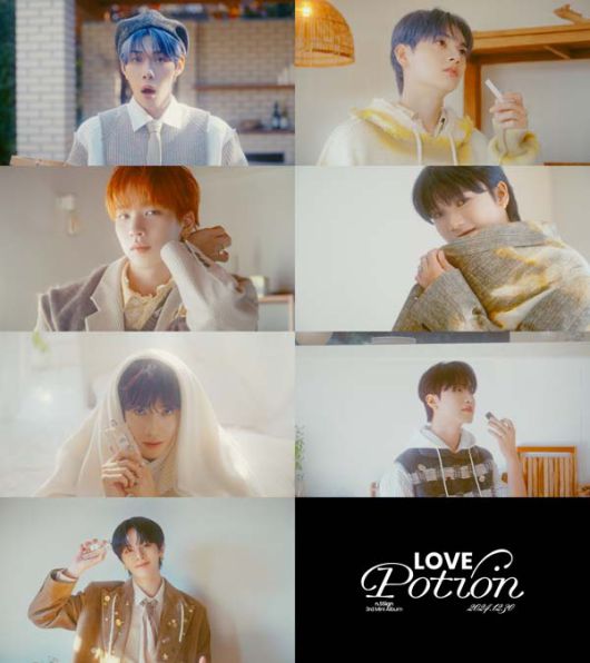 스타데일리뉴스