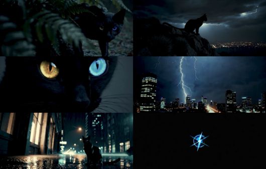 스타데일리뉴스