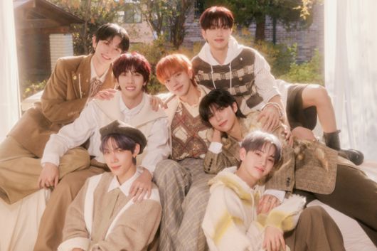 스타데일리뉴스