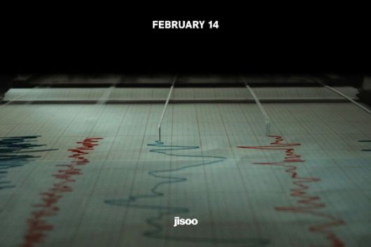 스타데일리뉴스