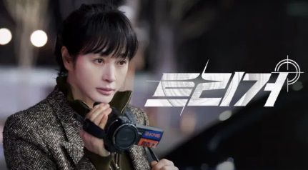 스타데일리뉴스