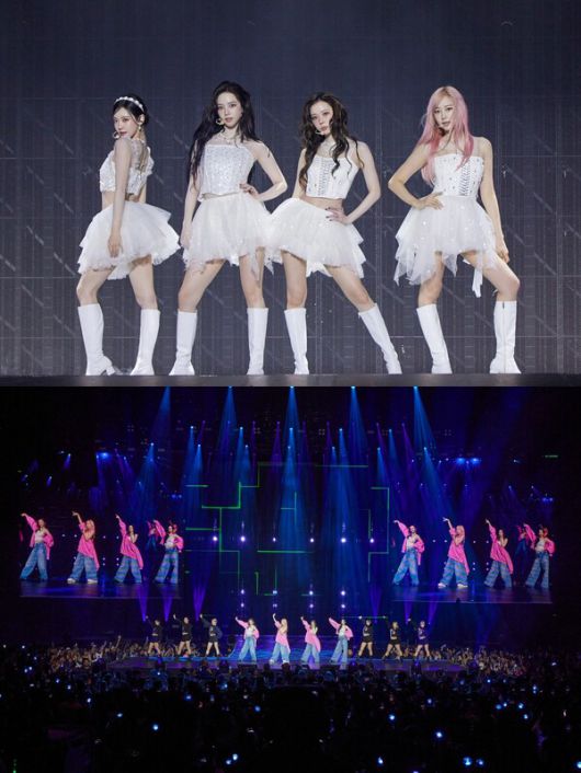 스타데일리뉴스