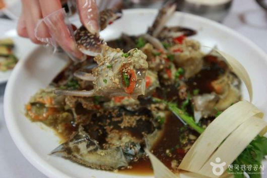 스타데일리뉴스