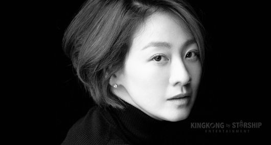 스타데일리뉴스