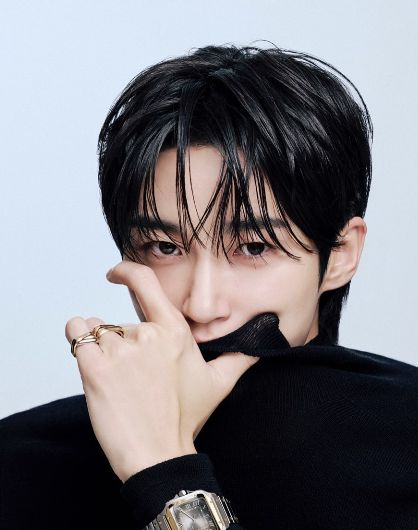 스타데일리뉴스