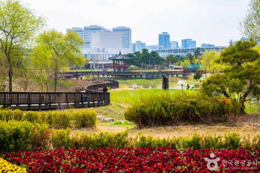 스타데일리뉴스