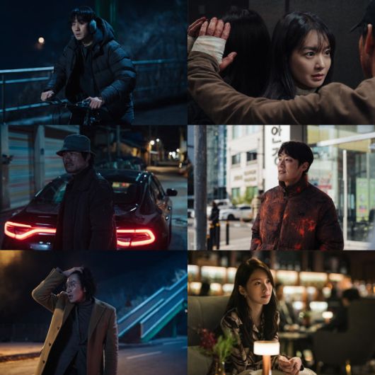 스타데일리뉴스