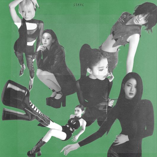 스타데일리뉴스