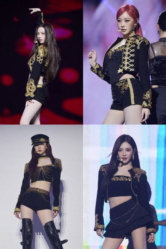 스타데일리뉴스