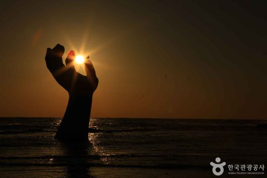 스타데일리뉴스