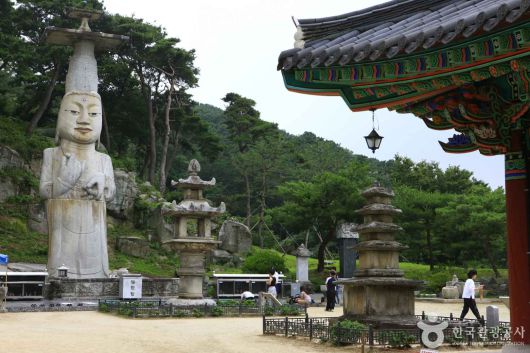 스타데일리뉴스